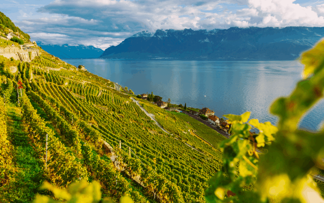 À la découverte du canton de Vaud : histoire, villes, cadre de vie et marché immobilier