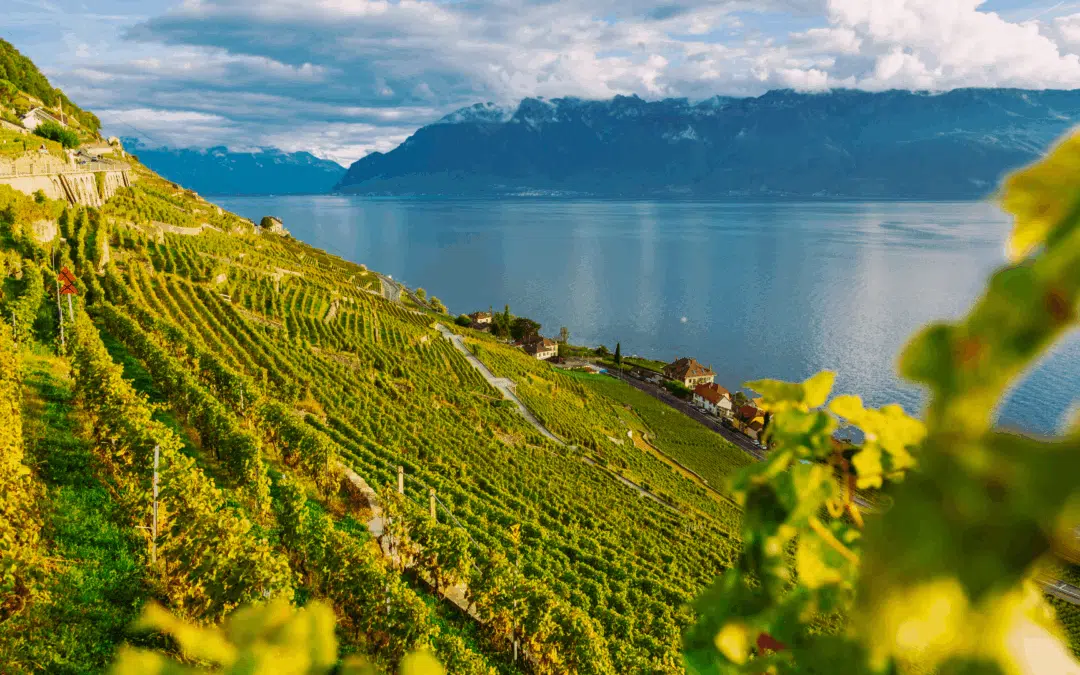 À la découverte du canton de Vaud : histoire, villes, cadre de vie et marché immobilier