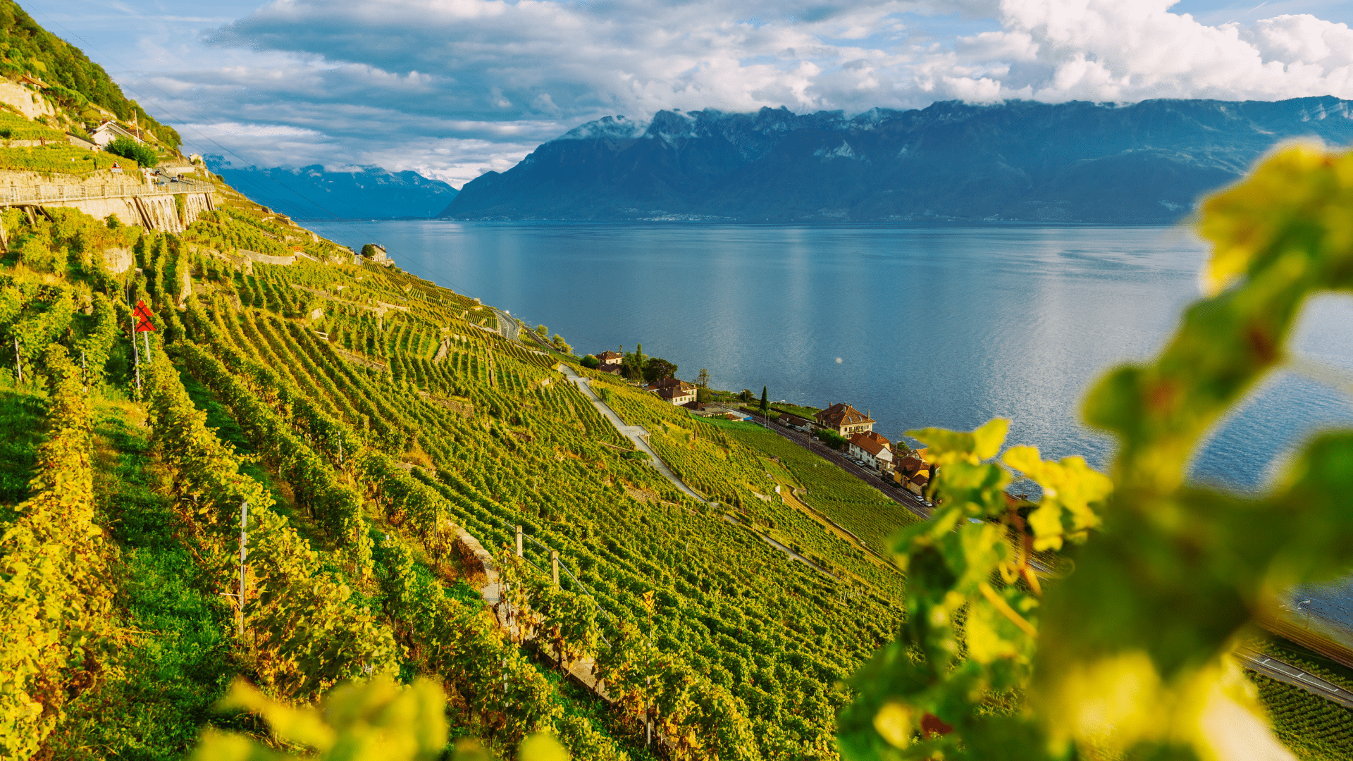 Paysage Canton de vaud
