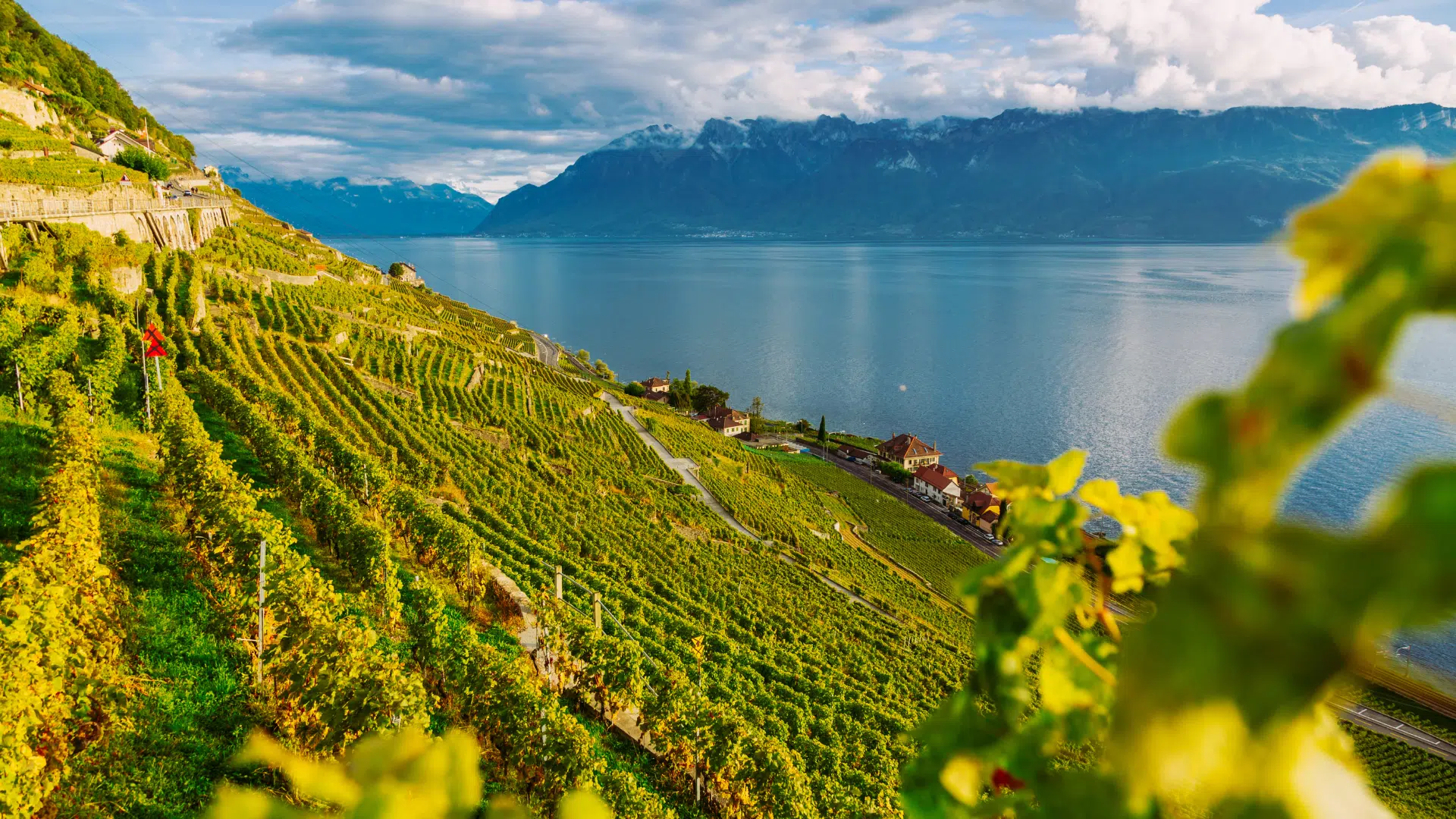 Canton de Vaud Paysage Canton de vaud