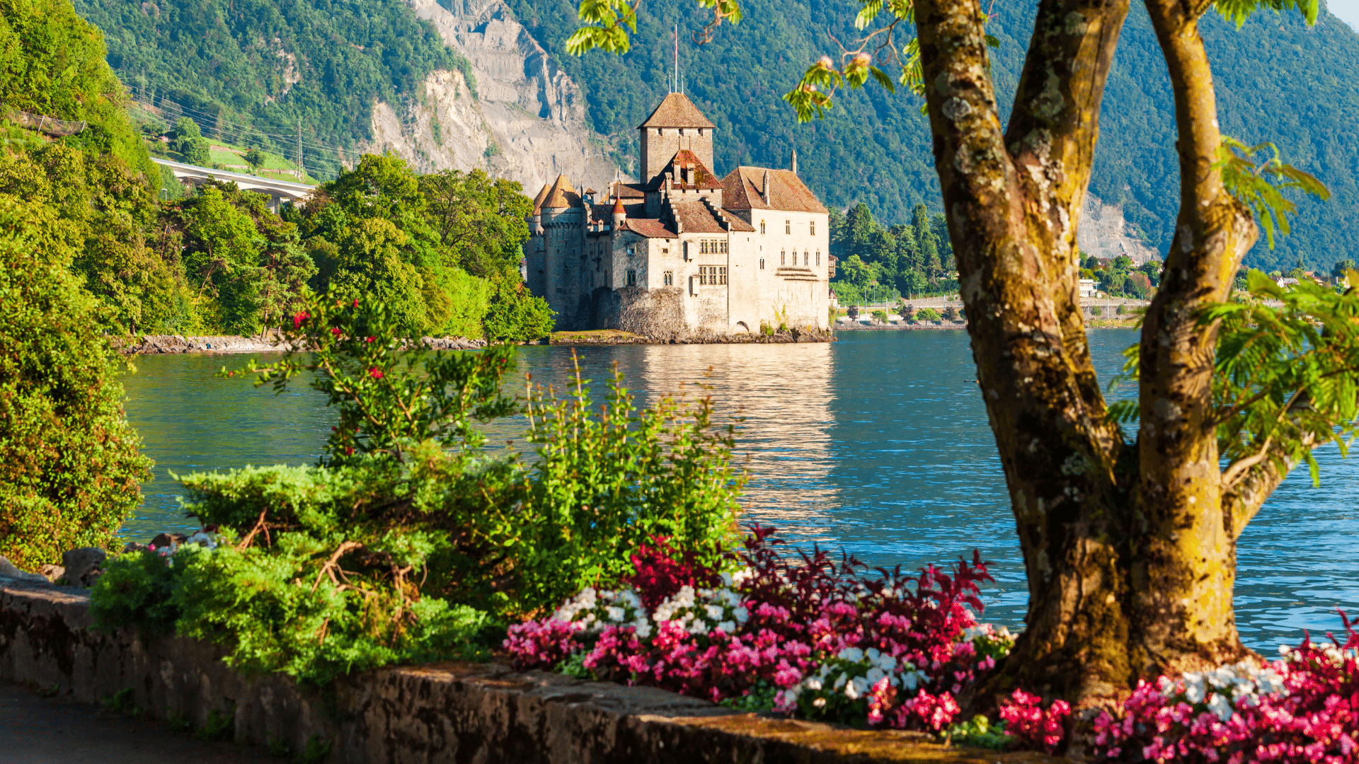 Paysage Suisse