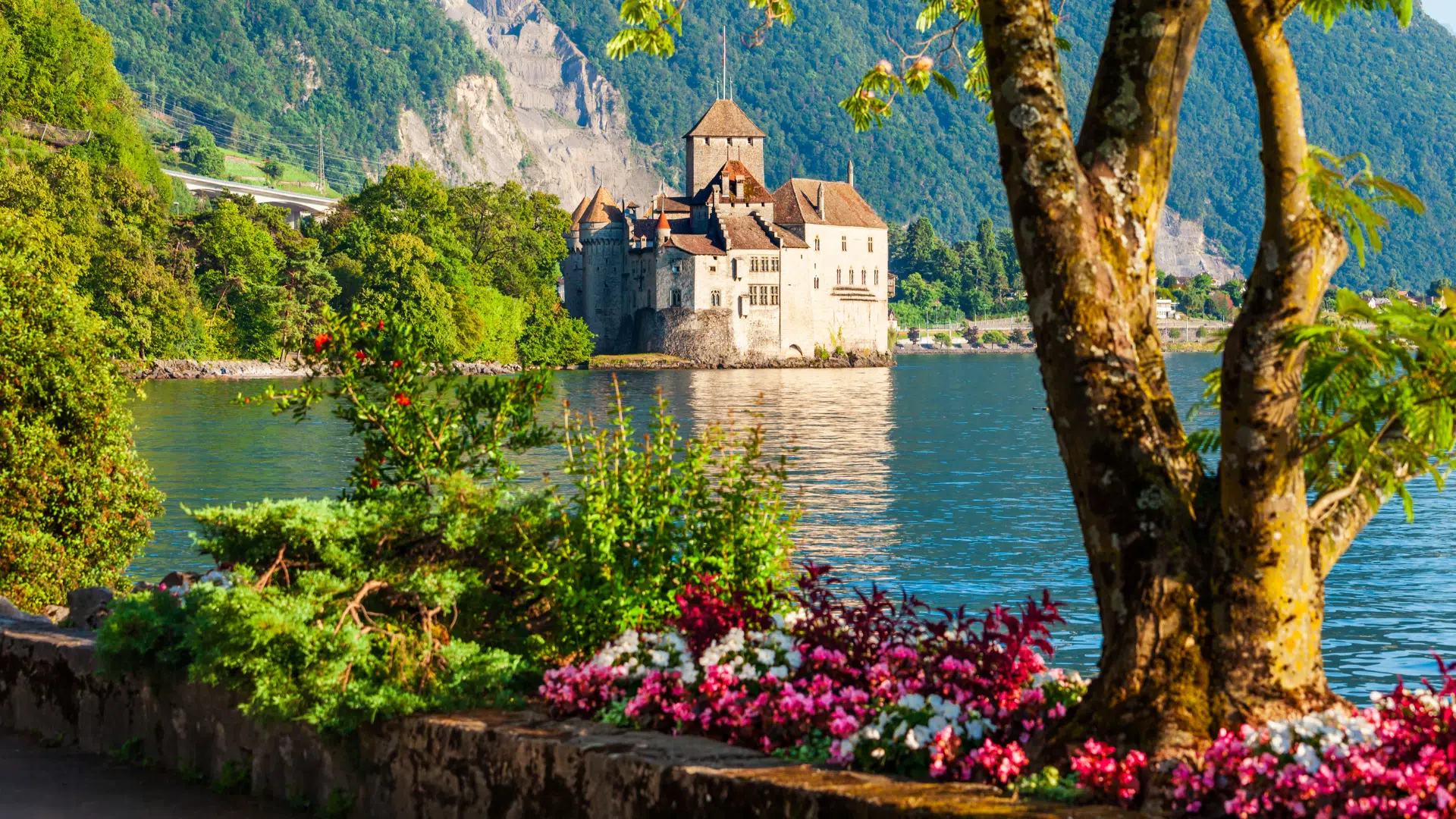 Paysage Suisse Paysage Suisse